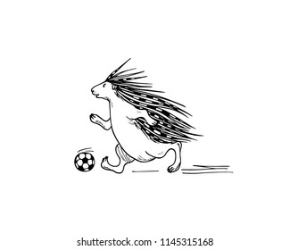Vector illustration of hand drawn porcupine playing football. Beautiful ink drawing, funny sport illustration