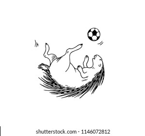 Vector illustration of hand drawn porcupine playing football. Beautiful ink drawing, funny sport illustration