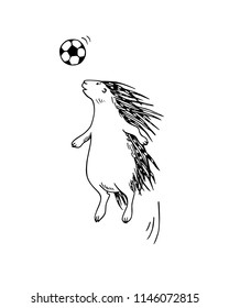 Vector illustration of hand drawn porcupine playing football. Beautiful ink drawing, funny sport illustration