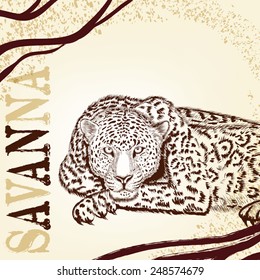 Vector illustration with hand drawn portrait of leopard