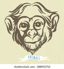Vector illustration  Hand drawn portrait of  monkey chimpanzee. 