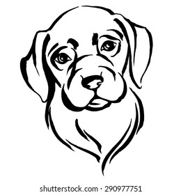 Vector illustration Hand drawn portrait of dog labrador. Black and white