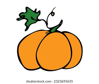 
Vector illustration hand drawn pumpkin. Autumn, fall. Harvest festival. Halloween. Thanksgiving. Icon, doodle. Isolated.
