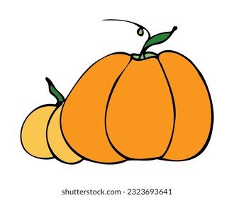 
Vector illustration hand drawn pumpkin. Autumn, fall. Harvest festival. Halloween. Thanksgiving. Icon, doodle. Isolated.