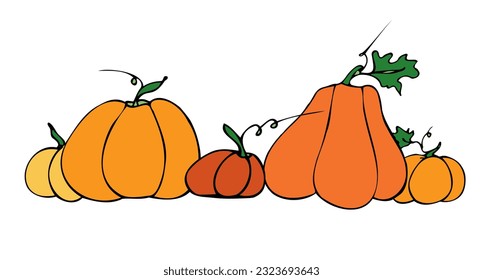 
Vector illustration hand drawn pumpkin. Autumn, fall. Harvest festival. Halloween. Thanksgiving. Icon, doodle. Isolated.