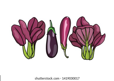 Vector illustration of hand drawn purple vegetables: bok choy and eggplants. Ink drawing, beautiful vegetarian design elements.