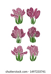 Vector illustration of hand drawn purple bok choy. Ink drawing, beautiful vegetarian design elements.