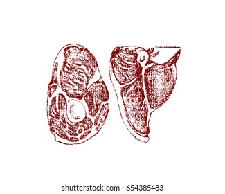 Vector illustration of hand drawn raw meat chops. Hand drawn food illustration. Beautiful design elements, charcoal drawing