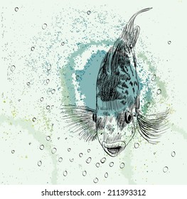 Vector illustration with hand drawn realistic  fish.