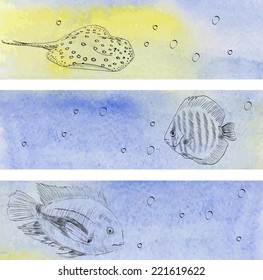 Vector illustration with hand drawn realistic  fish.