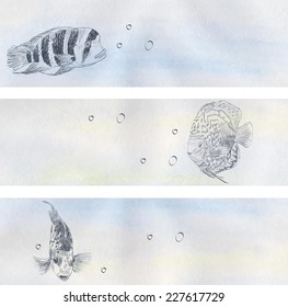 Vector illustration with hand drawn realistic  fish.