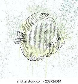 Vector illustration with hand drawn realistic  fish.