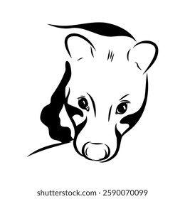 Vector illustration. Hand drawn realistic sketch of asian palm civet or toddy cat.