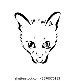 Vector illustration. Hand drawn realistic sketch of asian palm civet or toddy cat.