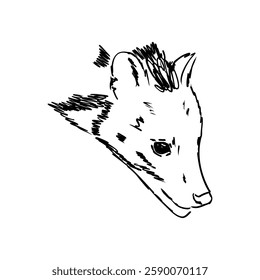 Vector illustration. Hand drawn realistic sketch of asian palm civet or toddy cat.