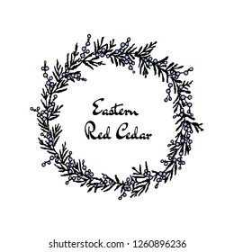 Vector illustration of hand drawn red cedar wreath. Ink drawing, graphic style, beautiful wedding design element
