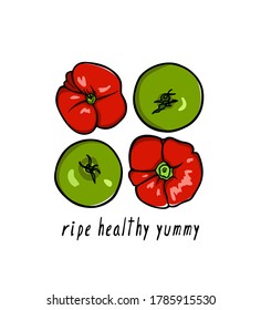 Vector Illustration Of Hand Drawn Ripe Red Heirloom Tomatoes With Green Beefsteak Tomatoes. Beautiful Food Design Elements, Perfect For Food Related Industry