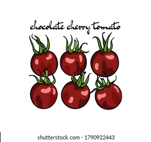 Ilustración vectorial de tomates de Chocolate Cherry hechos a mano. Hermosos elementos de diseño de alimentos, perfectos para la industria relacionada con la comida