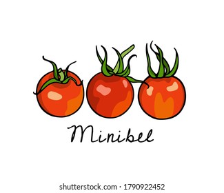 Ilustración vectorial de tomates Minibel Cherry hechos a mano. Hermosos elementos de diseño de alimentos, perfectos para la industria relacionada con la comida