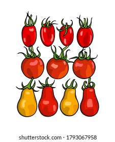 Ilustración vectorial de tomates de uva madura dibujados a mano, minibel y pear Cherry. Hermosos elementos de diseño de alimentos, perfectos para la industria relacionada con la comida