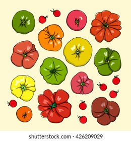 Vector illustration of hand drawn ripe colorful tomatoes. Vegetarian, healthy food illustration. Beautiful design elements.