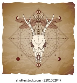 Vector illustration with hand drawn roe deer skull, dragonfly and Sacred geometric symbol on vintage paper background with torn edges. Abstract mystic sign. Image in sepia and red color.