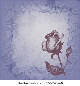 Vector illustration with hand drawn rose 