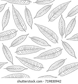 Vector illustration of Hand drawn rowan leaves isolated on white background