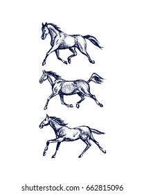 Vector illustration of hand drawn running thoroughbred horses. Beautiful design elements, charcoal drawing