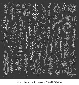 Vector illustration of hand drawn rustic natural element. Leaves, flowers and branches.