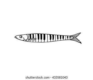 Vector illustration of hand drawn sardine patterned in piano keys. Advertising, menu or packaging cool design elements.