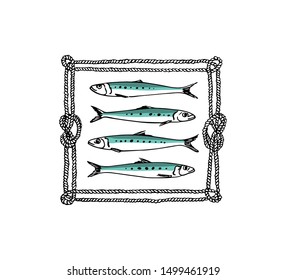 Vector illustration of hand drawn Sardines in rope frame. Ink drawing, graphic style. Beautiful food and fishing design elements