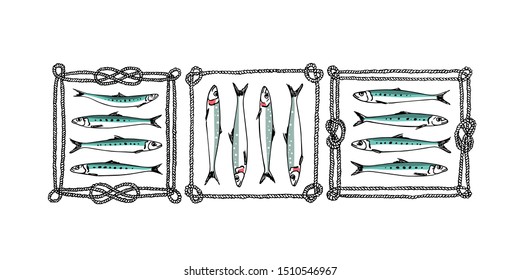 Vector illustration of hand drawn Sardines in rope frames. Ink drawing, graphic style. Beautiful food and fishing design elements