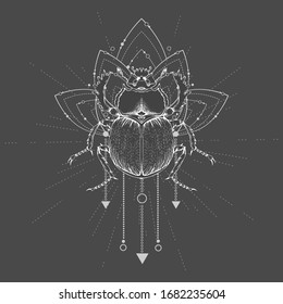 Vector illustration with hand drawn Scarab and symbol Lotus on black background.