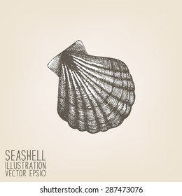Vector illustration of hand drawn sea shell. Vintage shell sketch on retro background