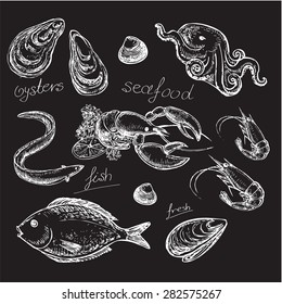 The vector illustration "hand drawn seafood on black background" for design
