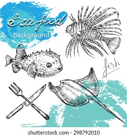 The vector illustration "hand drawn seafood collection" for design