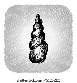 vector illustration of hand drawn seashell
