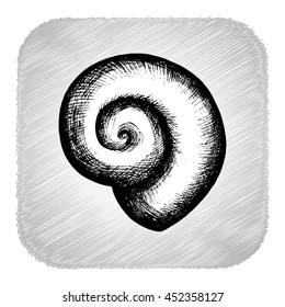 vector illustration of hand drawn seashell in black and white