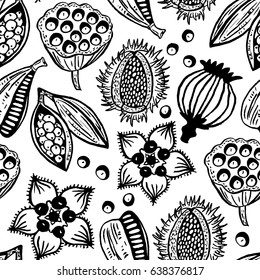Vector illustration of a hand drawn seeds. Black and white botanical seamless pattern. 