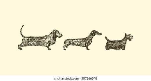 Vector illustration of hand drawn short dog breeds. Cute dogs characters drawn with chalk.