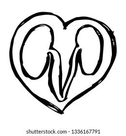 Vector Illustration of Hand Drawn Sketch of Kidney Icon on Isolated Background