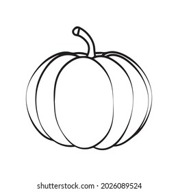 Vector illustration. Hand drawn sketch pumpkin. Ripe pumpkins isolated on a white background. Linear art of healthy organic vegetables in cartoon style. Vector illustration for menus, farmers markets.