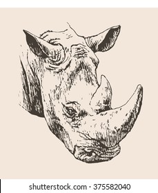 Vector illustration. Hand drawn sketch of a rhinoceros