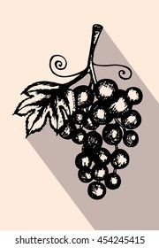 Vector illustration, hand drawn sketch of grapes