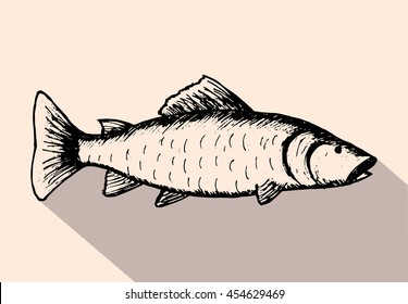 Vector illustration, hand drawn sketch of fish with a long shadow