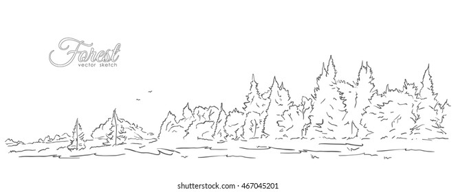 Vector Illustration: Hand Drawn Sketch With Forest And Birds. Line Design. 