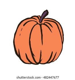 Vector illustration  hand drawn sketch of pumpkin. Can be used for print: bags, t-shirts, home decor, posters, cards, and for web: banners, blogs, advertisement.