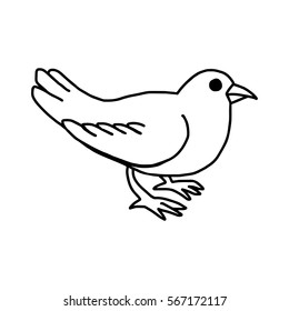 vector illustration hand drawn sketch of dove isolated on white background
