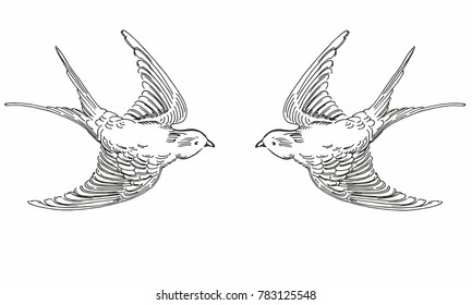 Vector illustration of hand drawn sketch flying contour birds. Black and white original realistic swallows